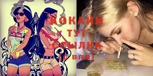 мдпв Верхний Тагил
