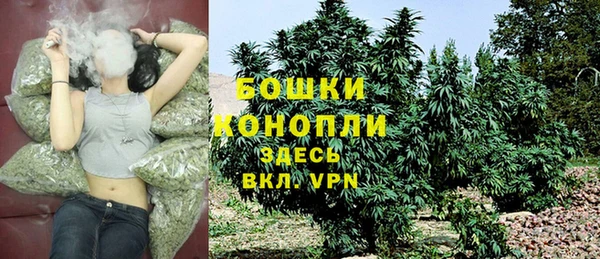 мдпв Верхний Тагил