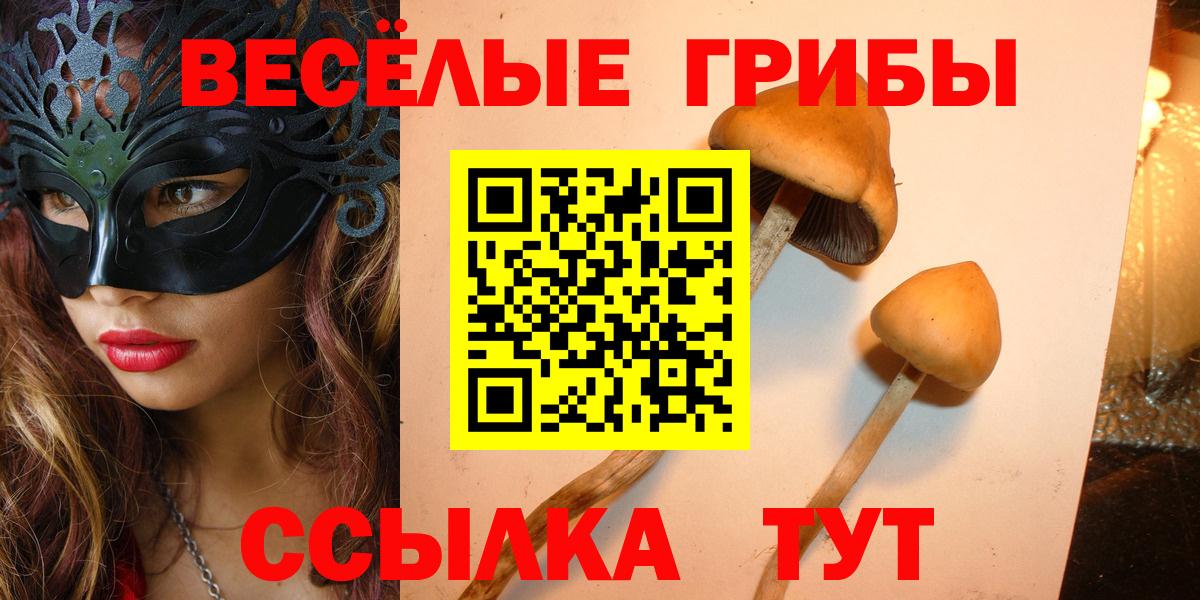 Псилоцибиновые грибы GOLDEN TEACHER Северобайкальск